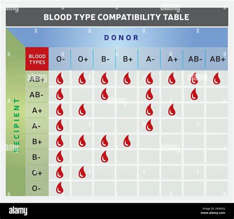 Tabla De Compatibilidad De Tipos De Sangre Gráfico Con Grupos De