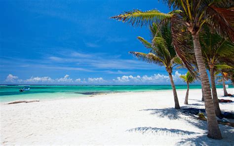Joe, bay county, florida, verenigde staten. Akumal Beach / Quintana Roo / Mexico // World Beach Guide
