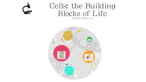 Cells Are The Building Blocks Of Life By Dorothy Pierce