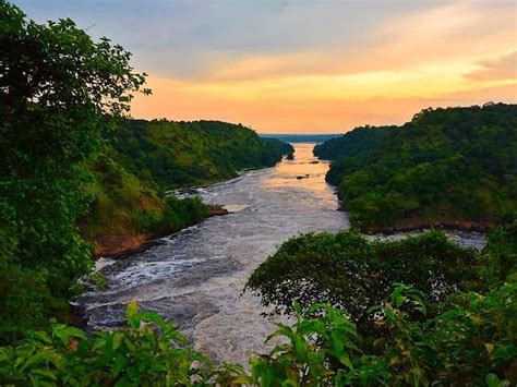 River Nile At Sunset Uganda