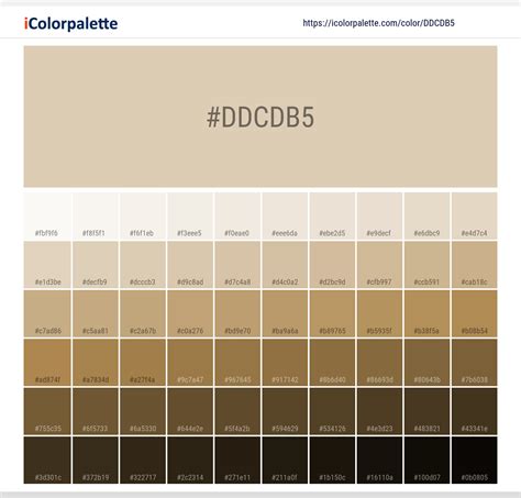 Pantone 13 1008 Tpx Bleached Sand Color Hex Color Code Ddcdb5