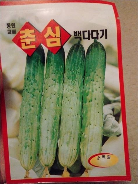 Korean Cucumber Seeds 1 Pack Very Crunchy Great For Making Etsy