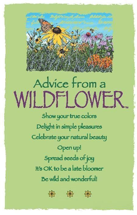 Quote of the day today's quote | archive. wildflower | Advice quotes, Nature quotes, Wild flower quotes