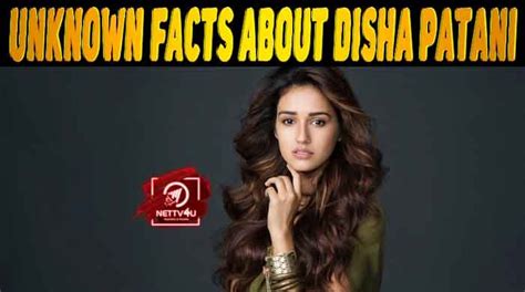 10 unknown facts about disha patani latest articles nettv4u