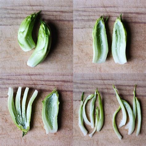Vengono, infatti, chiamate anche cicoria prima di vedere in quanti modi si possono cucinare le puntarelle, scopriamo velocemente qualche. Puntarelle alla romana, o quasi | Ricette con verdure ...
