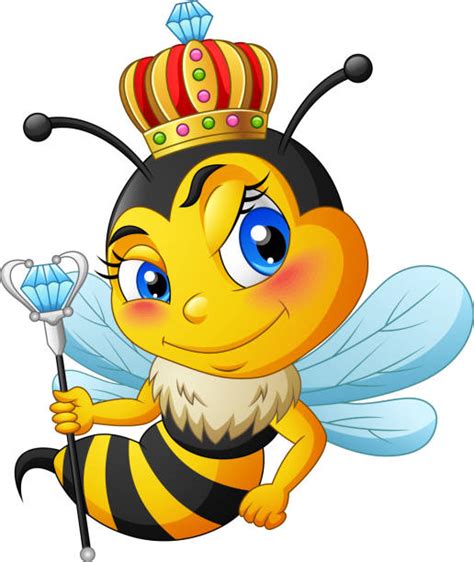Best Killer Bee Illustrations Royalty Free Vector