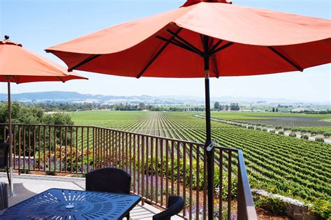 Gloria Ferrers Terrace View Wine Country California Sonoma Wine