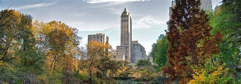 Visiting Central Park A Guide For Best Places And Things To Do