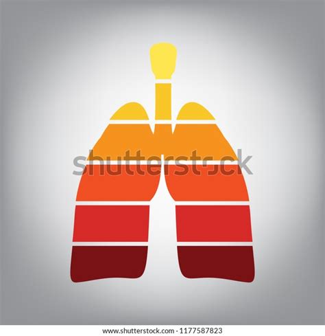 Human Anatomy Lungs Sign Vector Horizontally Stock Vector Royalty Free
