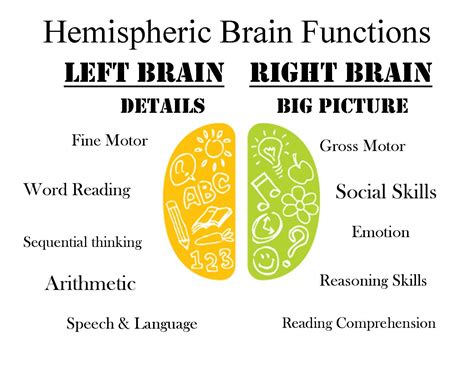 One Of Our Own Infographics Depicting The Various Functions Of The Left