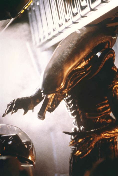 Alien 1979 Xenomorph