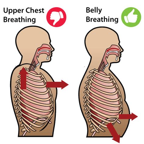 Proper Channel Diaphragmatic Breathing