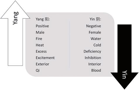 Yin And Yang Theory 26 Download Scientific Diagram