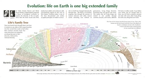 El Supositorio Homenaje A Luca Last Universal Common Ancestor