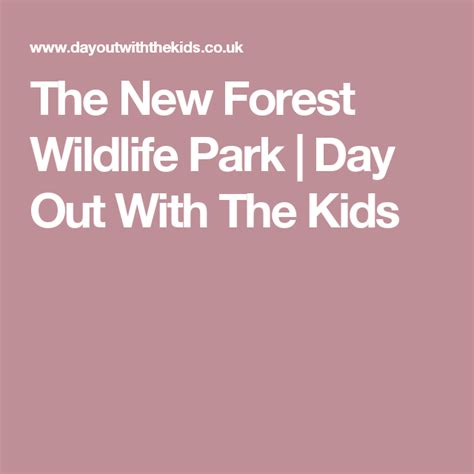 The New Forest Wildlife Park Day Out With The Kids Wildlife Park