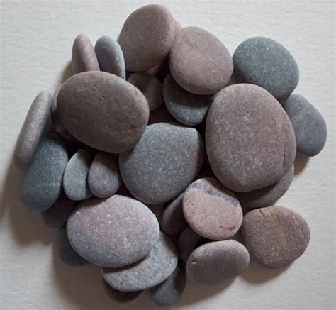 Small Pretty Beach Pebbles For Art Craft Terrariums Or | Etsy