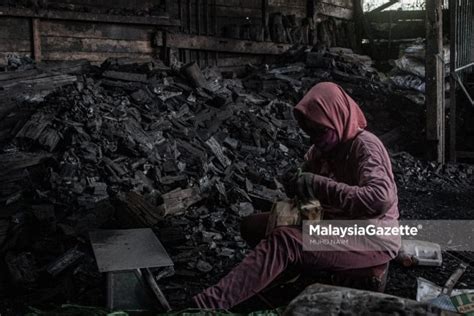 Kilang Arang Industri Tertua Di Kuala Sepetang