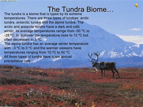 Those are all biomes found on land. tundra biome