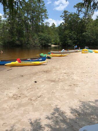 Blackwater Canoe Rental Milton All You Need To Know Before You Go