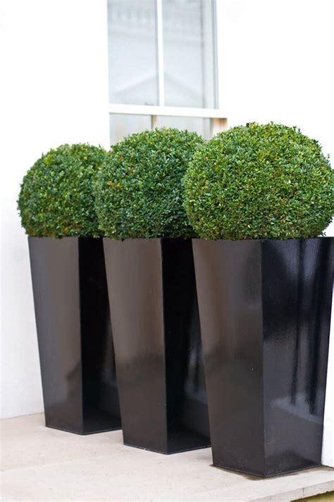 Combined with the right planting, outdoor planters can elevate simple gardens to stylish paradises, offering structure, height, focal points and planting to soften areas of hard landscaping. Contemporary planters | Outdoor Planters | Designer ...