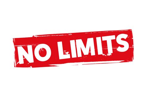 No Limite Das Business Des 21 Jahrhunderts L No Limit Movement