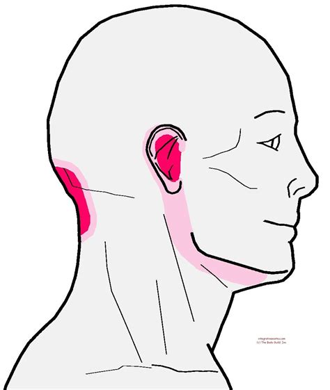 Understanding Trigger Points Pain In The Base Of The Head With Earache