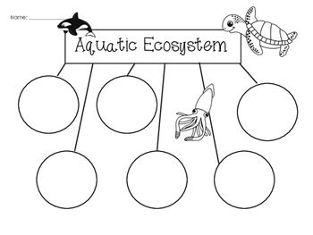 A fire swept through the forest, burning all the leaves, but leaving the trees standing. Ecosystems Worksheets & Printables by Glitter in Third | TpT