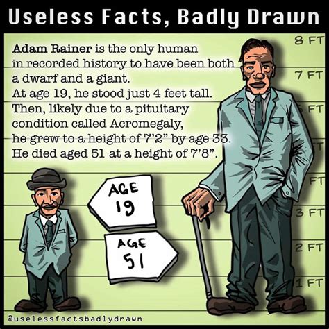 33 Useless Facts Badly Drawn Success Life Lounge