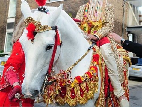 Hire Wedding Horse In Hyderabad For Shadi Baraat Dulha Ghodi