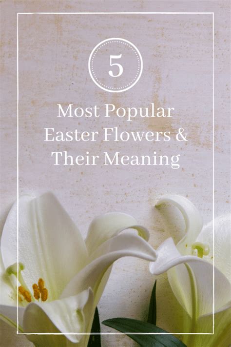 The 5 Most Popular Easter Flowers And Their Meanings Tipton And Hurst