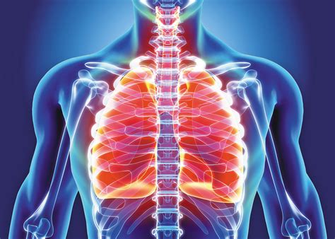 What Causes Acute Bronchitis Harvard Health