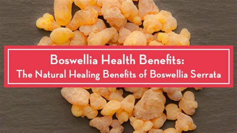 Boswellia Amazing 7 Health Benefits
