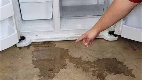 Why Does My Fridge Leak Water Onto The Floor Floor Roma