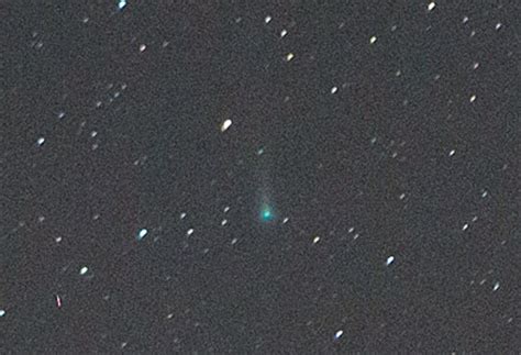 See Comet Leonard At Its Best Sky And Telescope Sky And Telescope