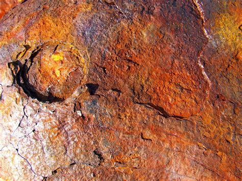 Free Images Rock Grungy Vintage Leaf Old Rustic Formation Rust