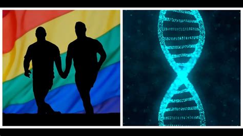 ¿la Homosexualidad Está En Los Genes Youtube