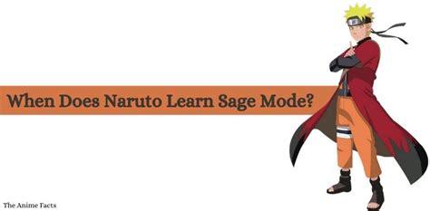 When Does Naruto Learn Sage Mode Kurama Six Path Sage