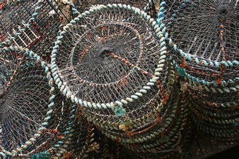 Check out our crab snare selection for the very best in unique or custom, handmade pieces from our fishing shops. How to Make Blue Crab Traps | Gone Outdoors | Your Adventure Awaits