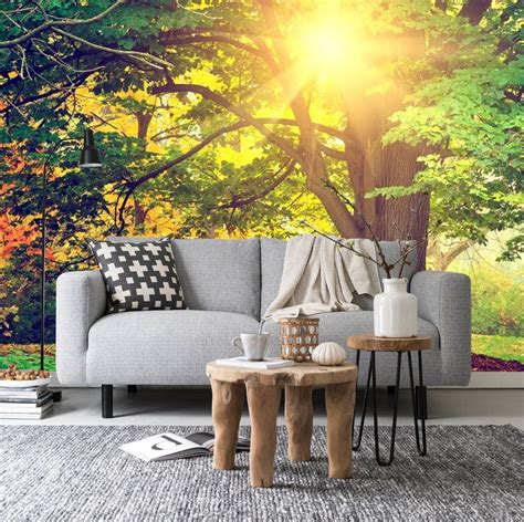 Sunbeam Through The Trees Wall Mural Bright Forest