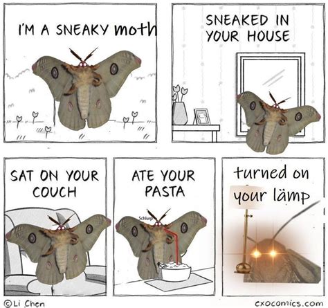 Sneaky Moth Moth Lamp Stupid Funny Memes Mothman Moth Meme