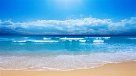 Free Download Beach Screensavers And Wallpapers Beach With Small Wave