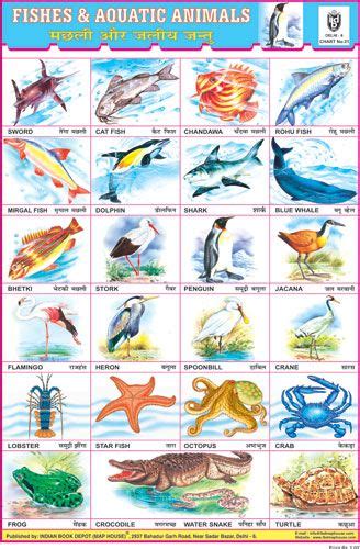 Fishes And Aquatic Animals Animals Chart For Kids Aquatic