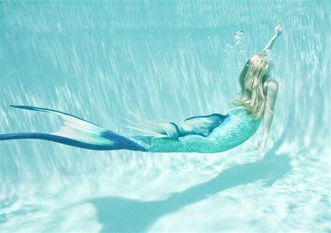 Mermaid Bend Photograph By Steve Williams