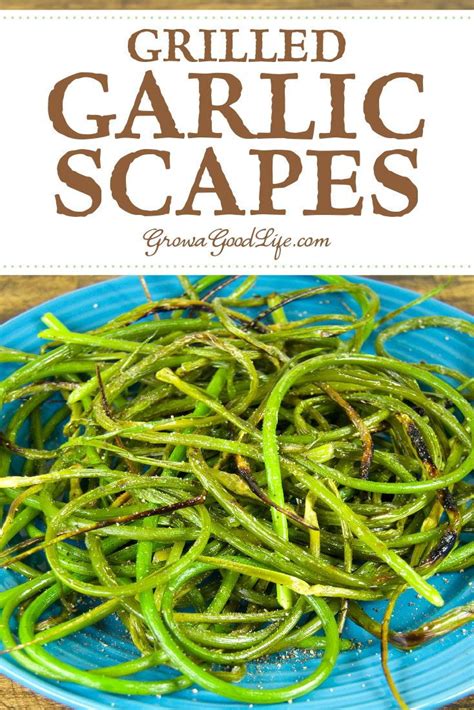 Grilled Garlic Scapes Recipe Garlic Scapes Scape Recipe Garlic