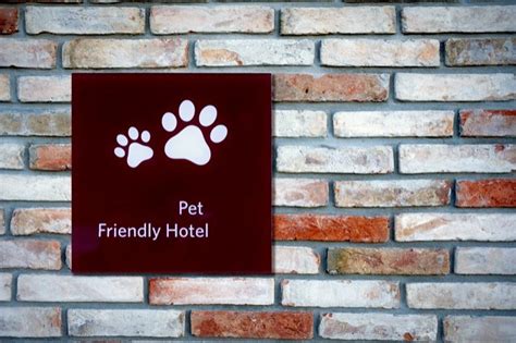 Compare dog & cat friendly hotels w/ our price match guarantee! The Ultimate Guide to Pet-Friendly Hotel Chains and Travel ...