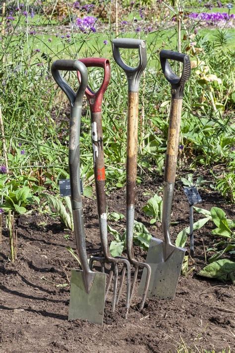 Stainless Steel Garden Fork And Spade Stock Photo Image Of Allotment