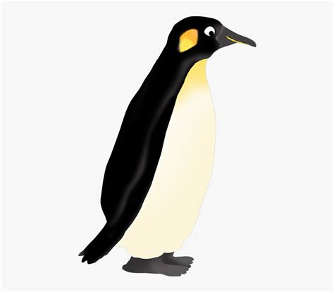 Penguin Clipart Emperor Penguin Penguin Clipart Hd Png Download Kindpng