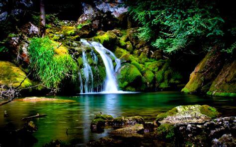 Nature Wallpaper For Windows 7 Free Download Zoom Wallpapers