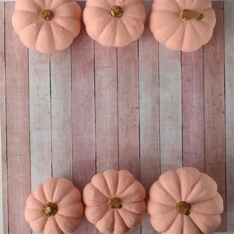 Blush Pink Pumpkins With Gold Stems On Pink Background With Copy Space
