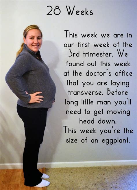 Bumpdate Weeks Pregnant Well Planned Paper Motherhood